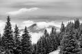 Clouds and fog covered mountain peak and pine trees Royalty Free Stock Photo