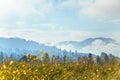 Clouds of fog over mountains, lonely house and yellow flowers in the foreground. Royalty Free Stock Photo