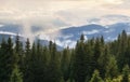 Clouds of fog under the Carpathian forest Royalty Free Stock Photo