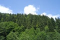 Clouds and forest in Camlihemsin, Rize, Turkey. Royalty Free Stock Photo