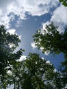 Clouds forming Above the trees in monsoon