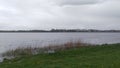 Clouds are gathering over the lake and it is raining. Rain drops fall on the grassy shore and on the water with reeds. The wind is Royalty Free Stock Photo