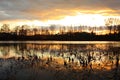 Beautiful reflection on a lake at sunset with fall trees Royalty Free Stock Photo