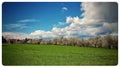 Clouds and green Royalty Free Stock Photo