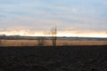 Clouds on the horizon in the last rays of the setting sun over dry reeds, trees without leaves and plowed field Royalty Free Stock Photo