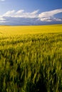 Clouds on the horizon, Puglia, Italy