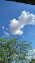 Clouds are incredible. Their endClouds are incredible.less shapes can add beauty to a sunny afternoon or terror to a dahen you loo Royalty Free Stock Photo