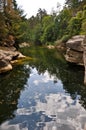 Clouds and leaves on the river Royalty Free Stock Photo