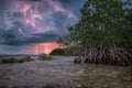 Clouds & Lightning in a Mangrove Topical Paradise Royalty Free Stock Photo