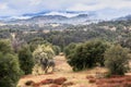 Clouds and mist over rolling hills in spring time with pear tree in bloom, coastal live oaks and buckwheat in Julian Royalty Free Stock Photo