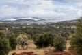Clouds and mist over rolling hills in spring time with pear tree in bloom, coastal live oaks and buckwheat in Julian Royalty Free Stock Photo