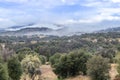 Clouds and mist over rolling hills in spring time with pear tree in bloom, coastal live oaks and buckwheat in Julian California Royalty Free Stock Photo