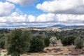 Clouds and mist over rolling hills in spring time with pear tree in bloom, coastal live oaks and buckwheat in Julian Royalty Free Stock Photo