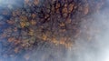 Clouds and mist and smoke from burning trees and fires shrouds a autumn forest in Switzerland.