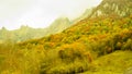 Clouds Among the Mountains