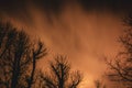 Clouds moving quickly over a dramatic night sky behind trees Royalty Free Stock Photo