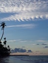 clouds   ocean   evening   palm trees   nature Royalty Free Stock Photo