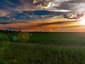 Clouds in the orange rays of the sunset over a green farm field. Royalty Free Stock Photo