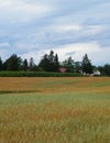 Clouds over field in Kashubia Royalty Free Stock Photo