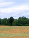 Clouds over field in Kashubia Royalty Free Stock Photo