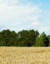 Clouds over field in Kashubia Royalty Free Stock Photo