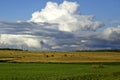 Clouds over the field. summer landscape Royalty Free Stock Photo