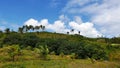 Clouds over Mango Trees 01