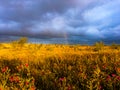 Clouds over the morning field Royalty Free Stock Photo