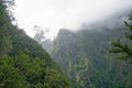 clouds over mountain ravines with Laurisilva forest in Madeira Royalty Free Stock Photo
