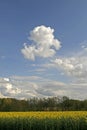 Clouds over field, Lower Saxony, Germany Royalty Free Stock Photo