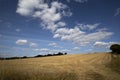 Clouds over recently harvested crop