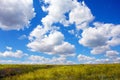 Clouds over a summer meadow