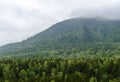 Clouds over the taiga in siberia