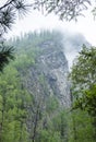 Clouds over the taiga in siberia