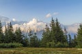 Clouds over top of a mountain with green pine forest and grass m Royalty Free Stock Photo