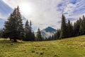 Clouds over top of a mountain with green pine forest and grass m Royalty Free Stock Photo