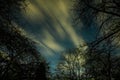 Clouds passing in the moon light by over a forest and on a night sky full of stars Royalty Free Stock Photo