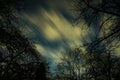 Clouds passing in the moon light by over a forest and on a night sky full of stars Royalty Free Stock Photo