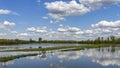 Clouds reflected in the waters of a wetland conservation area
