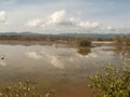Unare lagoon coastal wetland in Venezuela