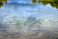 Clouds reflections on swamp water Royalty Free Stock Photo