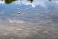 Clouds reflections on swamp water Royalty Free Stock Photo
