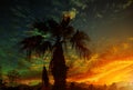 Clouds with silhouetted palm trees on horizon at sunset Royalty Free Stock Photo