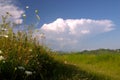 Clouds on sky Royalty Free Stock Photo