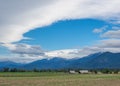 Clouds, sky, field and tree