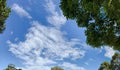 Clouds and sky panorama surrounded by trees Royalty Free Stock Photo