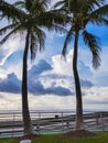 Clouds sky after storm, tropical beach with palm trees