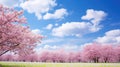 clouds spring sky background