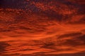 Clouds stained with red light of the setting sun. Royalty Free Stock Photo