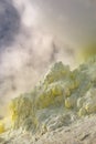 Clouds of steam and sulphurous volcanic vent